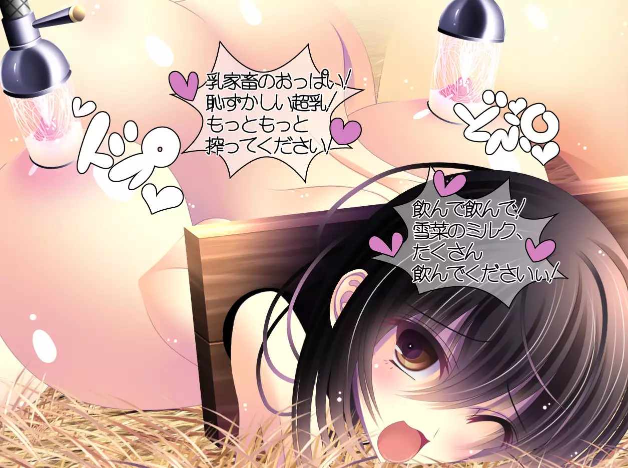 yabure, bakunyu chochichi naedoko ni, benki ni Daraku To sa reru hiroin!~ Hime ○ setsuna ~