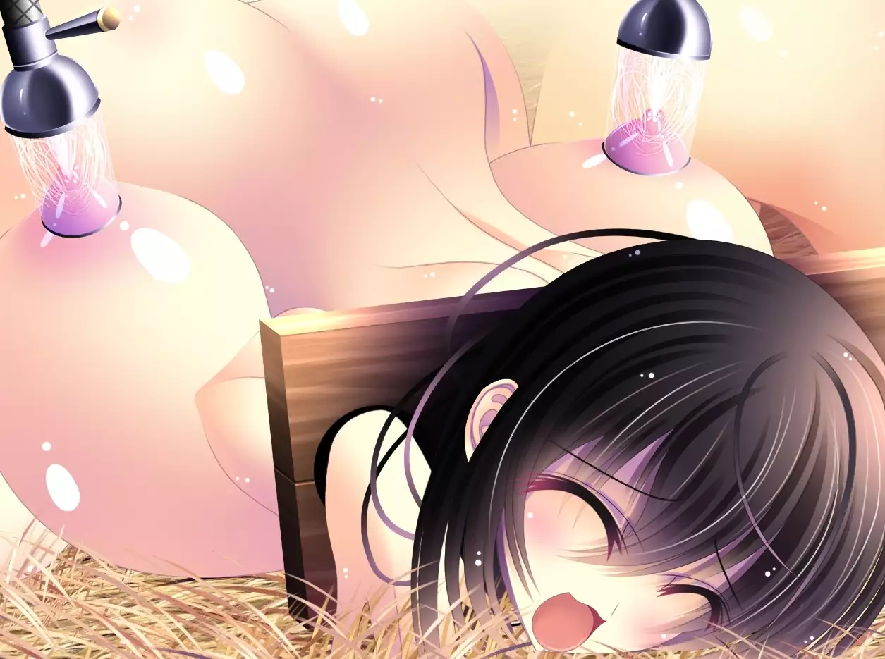 yabure, bakunyu chochichi naedoko ni, benki ni Daraku To sa reru hiroin!~ Hime ○ setsuna ~