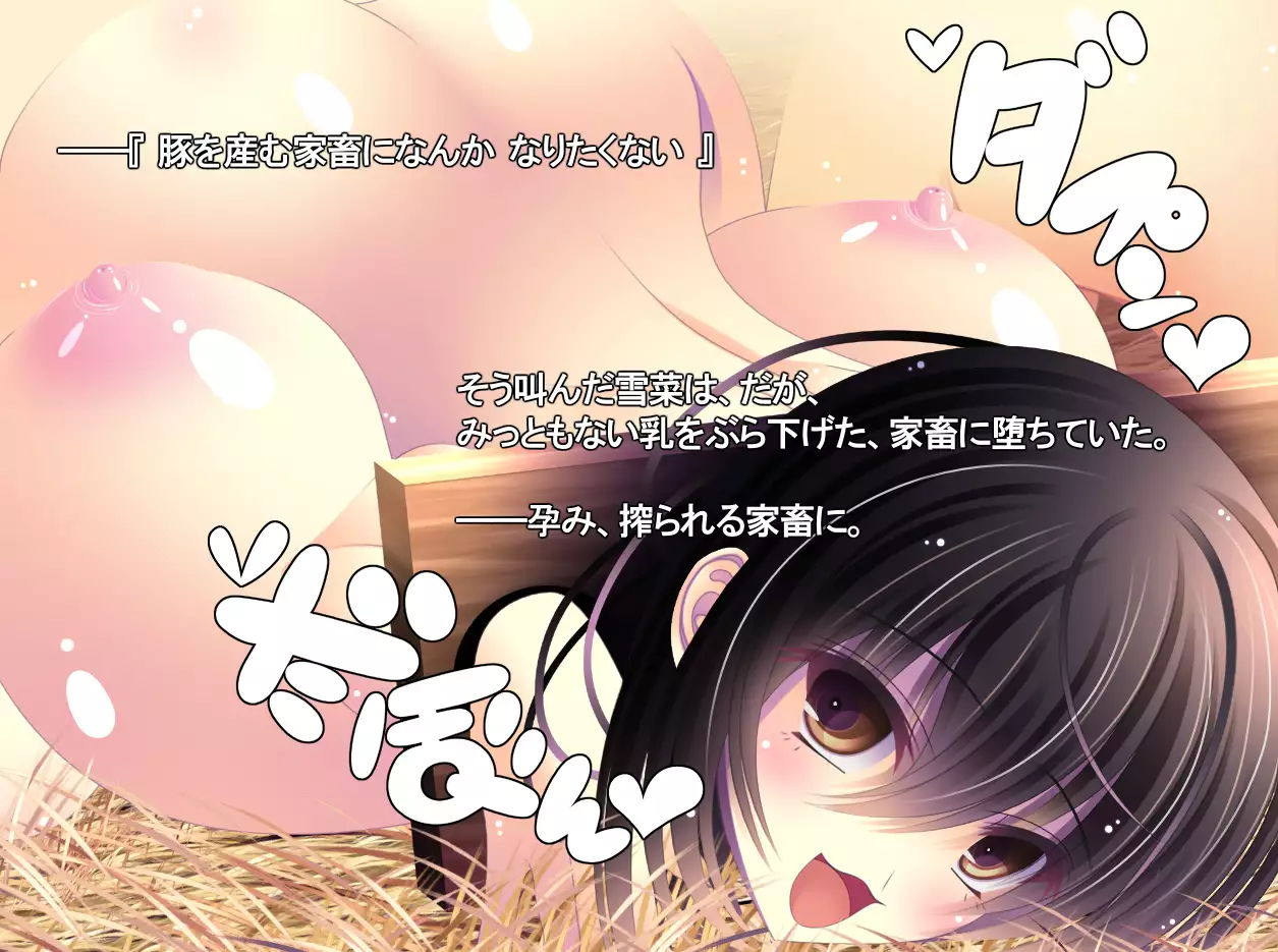 yabure, bakunyu chochichi naedoko ni, benki ni Daraku To sa reru hiroin!~ Hime ○ setsuna ~