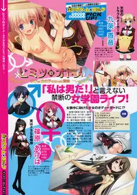 COMIC Megastore 2013-01