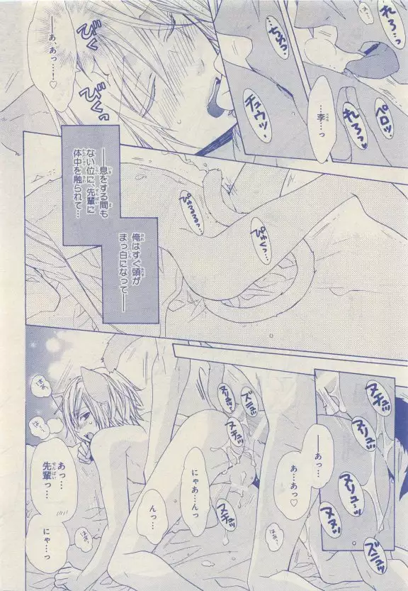 JUNK!BOY 2015 はるやすみ