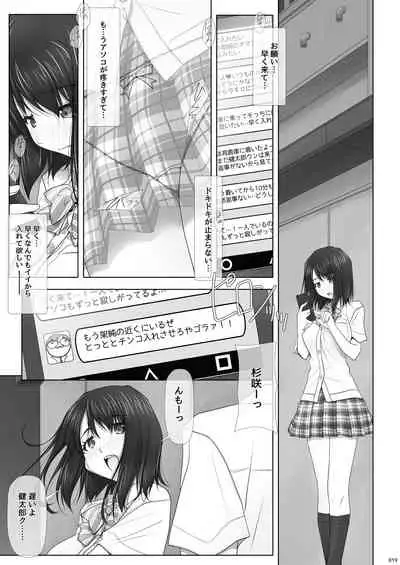 Netorare no Toriko Kasumi no Kimochi