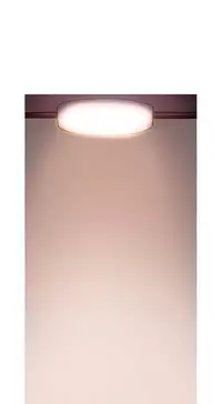 [PINKO] Scandal of the Witch Ch.1-25 (English) (Ongoing)