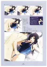 LOVELY CATION 1&2 VISUAL FAN BOOK