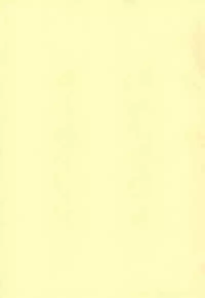 Wagamama Koneko no Shitsukekata. | 任性小猫的教育方式