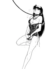 (C45) [Hyakumangoku (Dairoku Tenmaou Great)] China Syndrome (Sailor Moon, Street Fighter) [English]