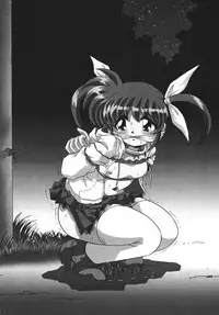 [Thirty Saver Street 2D Shooting] Storage Ignition (Mahou Shoujo Lyrical Nanoha / Magical Girl Lyrical Nanoha)