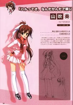 YUZUSOFT 10th Anniversary Book YUZUANI