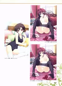 Kimi wo Aogi Otome wa Hime ni Visual Fan Book